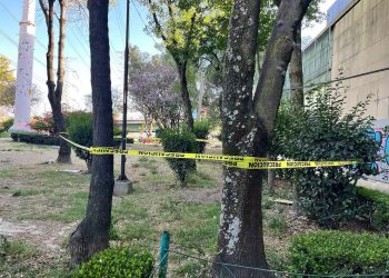 Detienen al presunto feminicida de Gilda Guadalupe, joven hallada en una jardinera en Tlatelolco