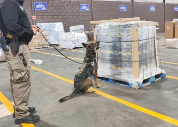 Confiscan 138 kilogramos de metanfetamina en Hermosillo