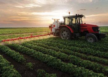 “Aranceles agrícolas impactará a consumidores de Estados Unidos de manera inmediata”: Anaya