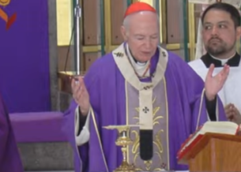 “El Papa Francisco ha dejado el hospital y va recuperando la salud”, destaca el Cardenal Carlos Aguiar