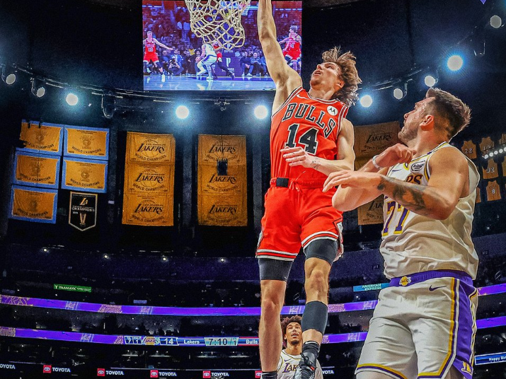 bulls