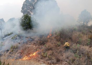 Coahuila en alerta por temporada de incendios