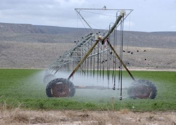 Invertirán 51 mil mdp en programa de tecnificación de riego