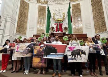 Aprueban corridas de toros sin violencia en la CDMX