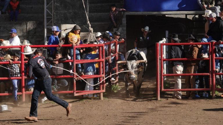 Corridas de toros