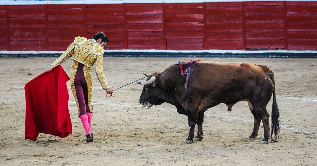 Tauromaquia en la CDMX