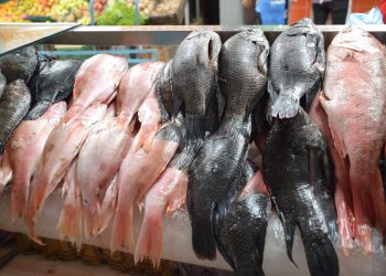Inicia operativo cuaresma 2025, buscan garantizar seguridad de pescados y mariscos