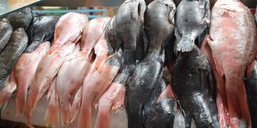 Inicia operativo cuaresma 2025, buscan garantizar seguridad de pescados y mariscos