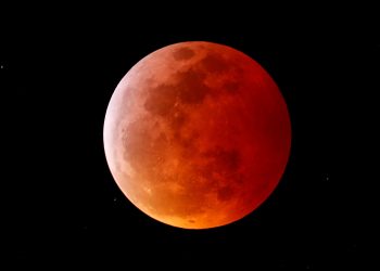 Eclipse lunar 2025: Aquí todo lo que debes saber