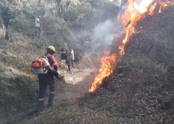 Intensifican lucha contra incendios forestales en Hidalgo