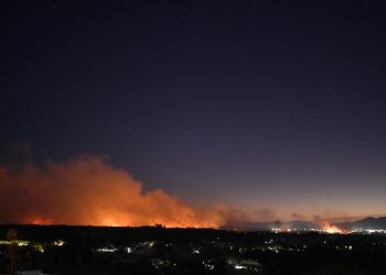 Controlan incendio en el Bosque La Primavera en Jalisco