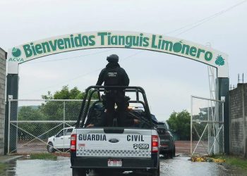 Anuncian cierre definitivo de cinco empacadoras de limón en Michoacán por cobro de piso y amenazas