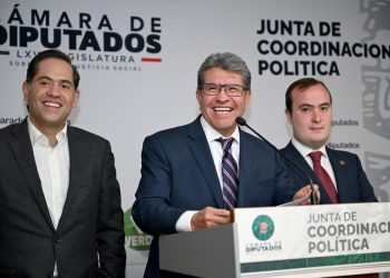Soberanía Nacional, Constitucionalidad de nepotismo y no reelección, al pleno de diputados