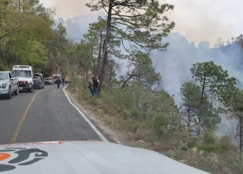 Accidente carretero en Nuevo León deja al menos 12 muertos