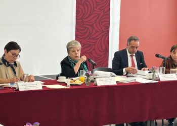 Tren Maya: Piden una restauración en zonas afectadas