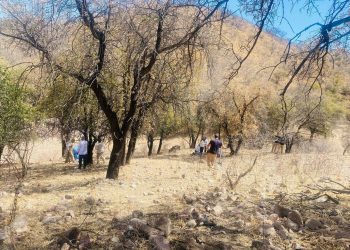 Colectivos de búsqueda encuentran restos óseos en Sonora