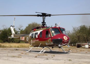 Reportan incendios forestales en 11 municipios de Tamaulipas