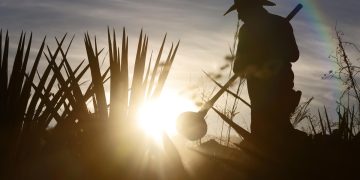 La industria del tequila define estrategias para afrontar aranceles de Trump