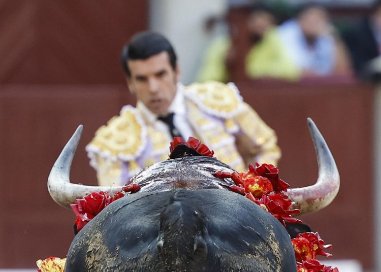 FOTO EFE / IMAGEN ILUSTRATIVA