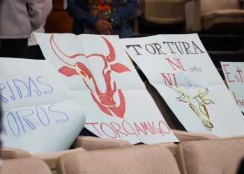 Hidalgo analiza iniciativa contra maltrato animal en corridas de toros