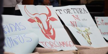 Hidalgo analiza iniciativa contra maltrato animal en corridas de toros