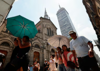 SMN prevé altas temperaturas para el país