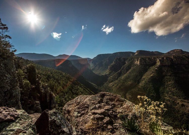 FOTO: GOBIERNO DE MEXICO