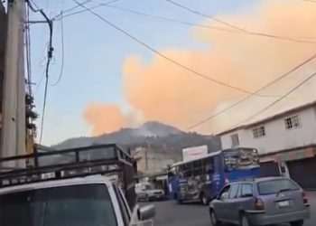 Incendios forestales: Habitantes de Coajomulco piden ayuda