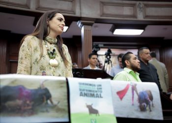 Michoacán prohíbe tauromaquia y las peleas de animales
