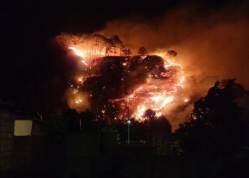 Incendio forestal en Tepoztlán obliga a desalojar familias