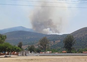 Hidalgo rebasa los 200 incendios forestales