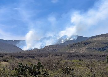 Guanajuato: Incendio consume al menos 200 hectáreas en Sierra de los Agustinos