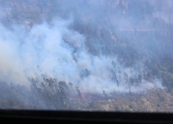 Al menos 900 hectáreas han sido consumidas por el fuego en Puebla