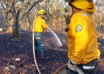 Guanajuato: Continúa incendio en Sierra de los Agustinos