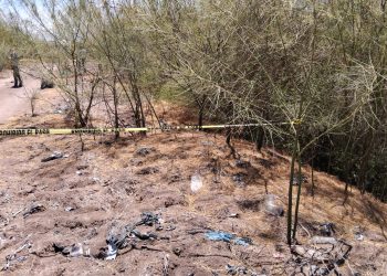 Colectivos encuentran al menos 11 cuerpos en fosas clandestinas de Sinaloa