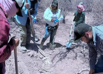 Sonora: Colectivos de buscadoras localizan restos