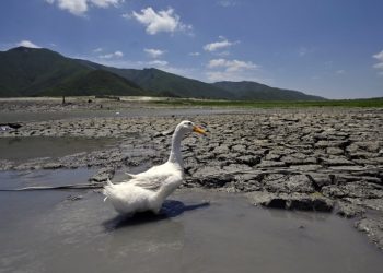 “Mexicanos dispuestos a tomar acciones contra el cambio climático”: especialista