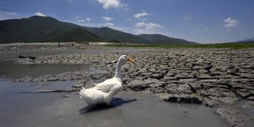 “Mexicanos dispuestos a tomar acciones contra el cambio climático”: especialista