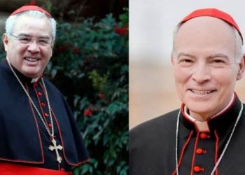 ¿Quiénes pueden ser elegidos Papa?