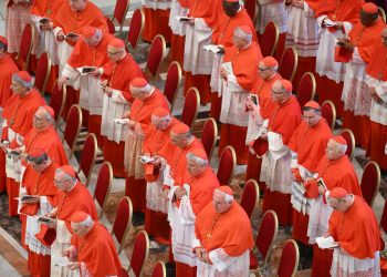 Los cardenales se incorporan a las redes sociales