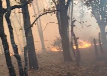 Guanajuato: No cesa incendio; ya abarca tres municipios