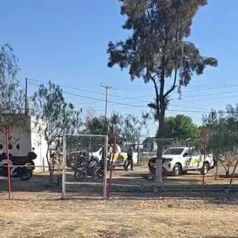 Cuatro muertos deja masacre en Salamanca