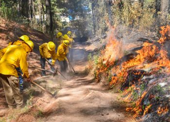 Estado de México castigará hasta con 10 años de cárcel a quien provoque incendios forestares