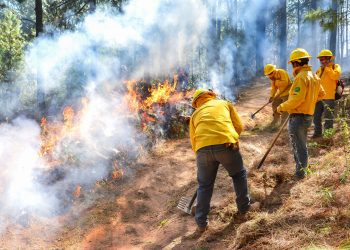 “Las penas por provocar incendios van de los 10 años de prisión hasta multas cuantiosas”: Sánchez