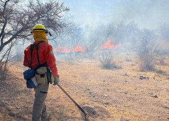 Sonora: Reportan tres incendios forestales activos