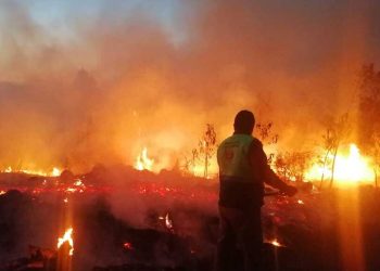 Reportan 106 incendios forestales activos en 25 estados del país