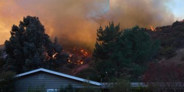 Sube a 30 muertos en incendios en Los Ángeles tras hallazgo de restos humanos