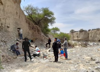 Encuentran restos de un mamut en la zona del altiplano de Tamaulipas
