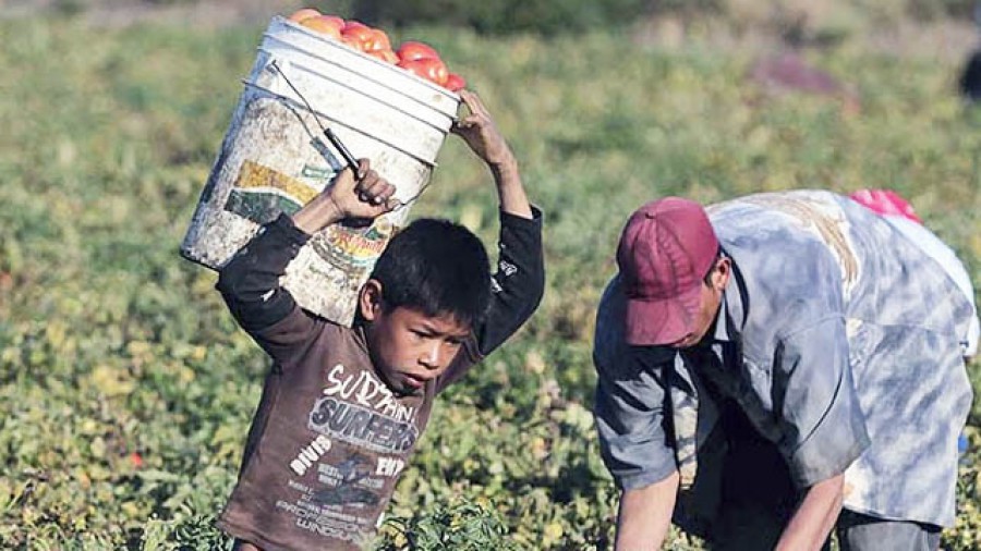 Tamaulipas: 42% de los niños enfrentan pobreza