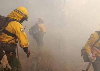 Incendio forestal es extinguido en Puebla